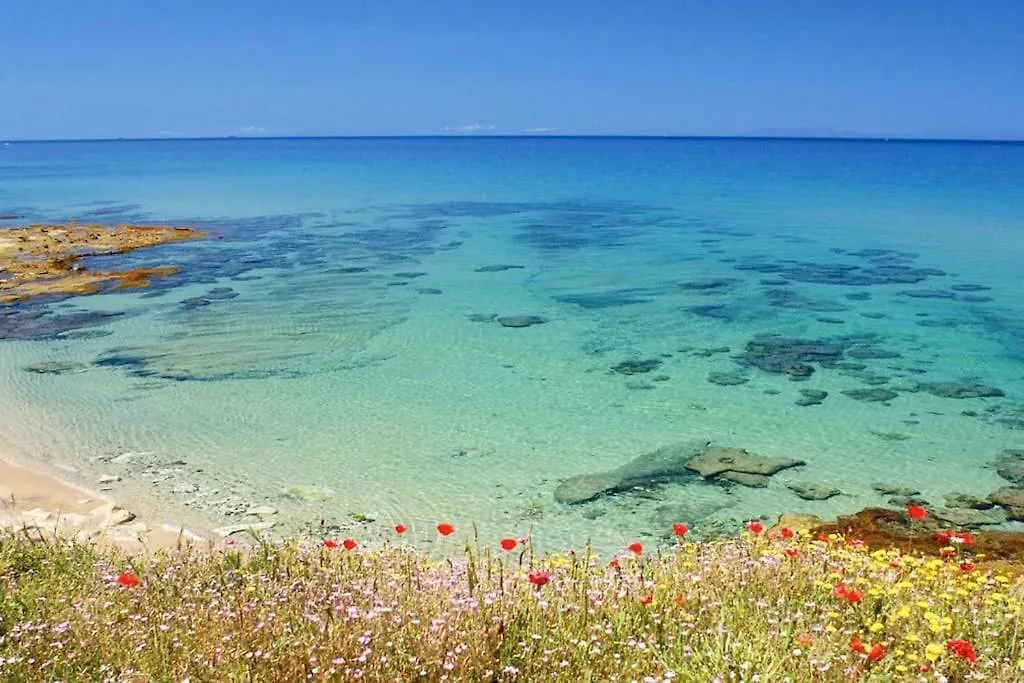 Apartment - Il Paradiso - Where Dreams Come True Valledoria   Valledoria (Sardinia)